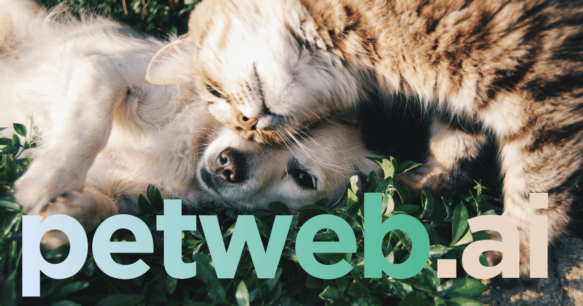 OVER株式会社の創業ストーリー